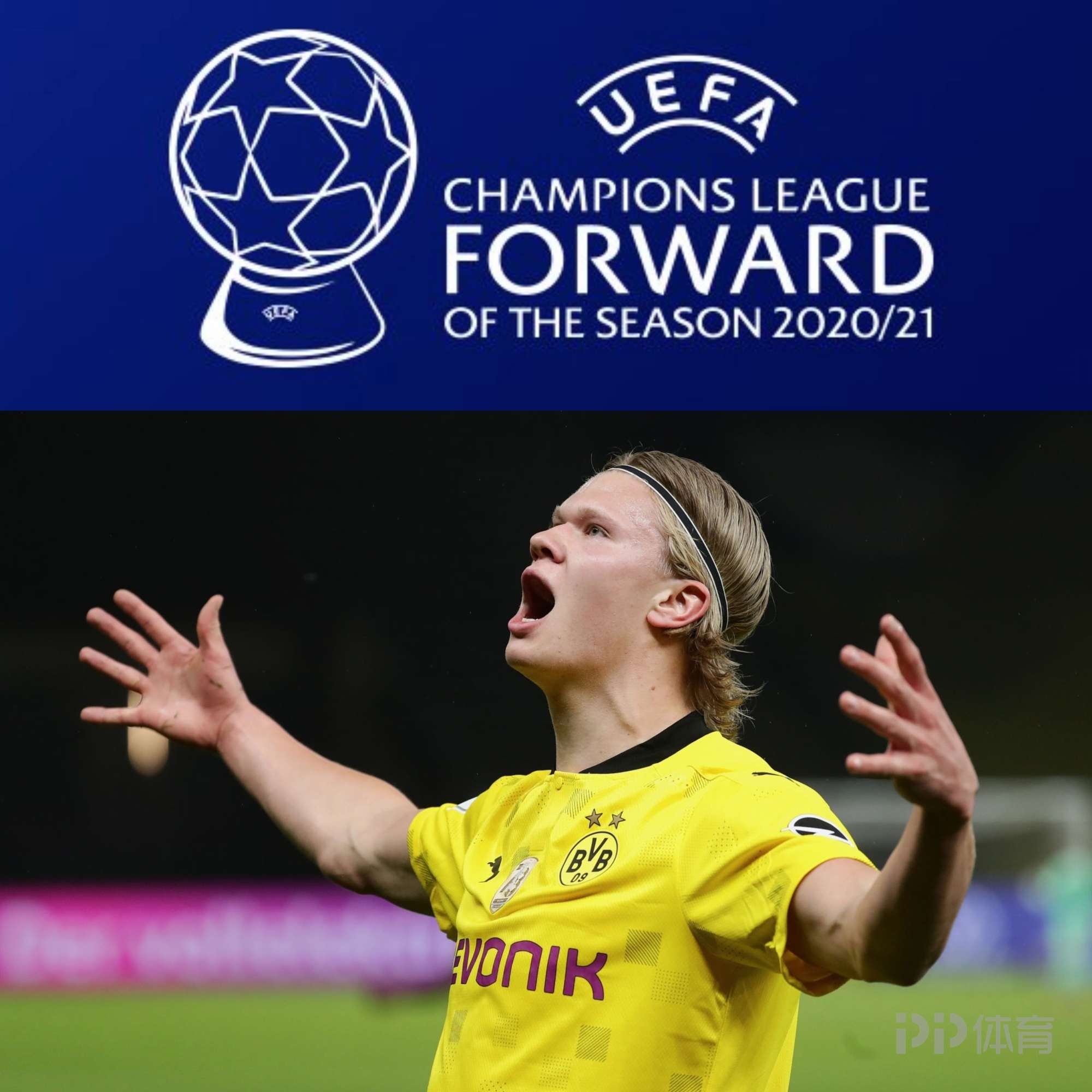 挥杆神州！2025燕之屋高尔夫嘉年华盛大启幕，高球英豪逐鹿果岭